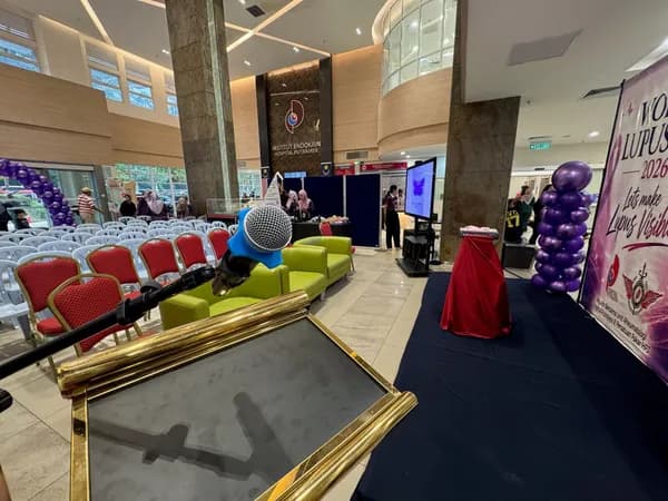 Gallery image 16